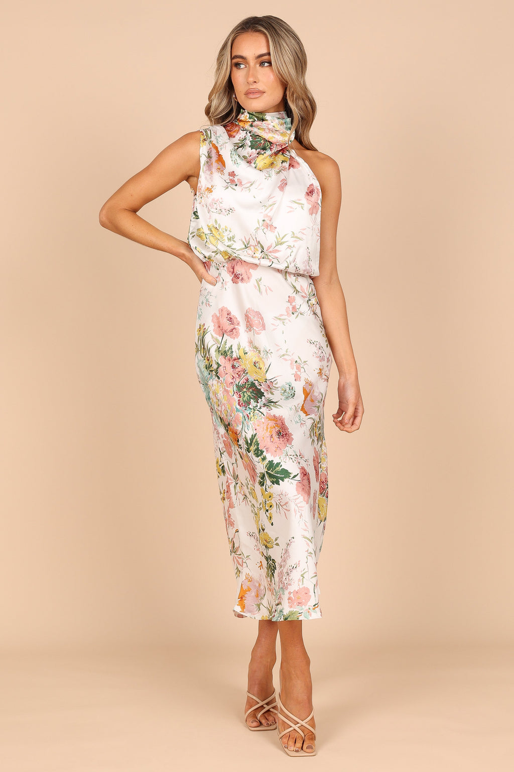Petal and Pup USA DRESSES Anabelle Halter Neck Maxi Dress - White Floral