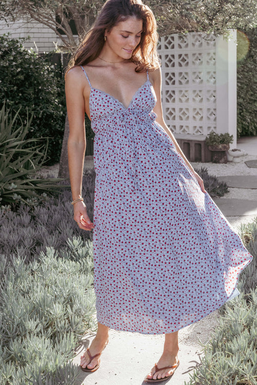 Petal and Pup USA DRESSES Freesia Midi Dress - Blue Red Floral
